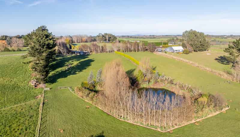 309B Lorne Dacre Road, Roslyn Bush