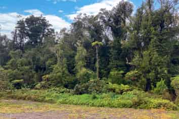 12 Alymer Place, Franz Josef Glacier