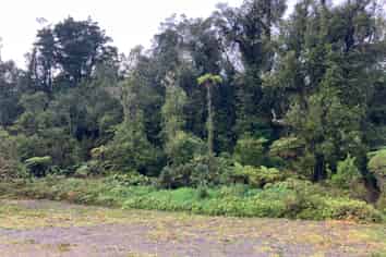 12 Alymer Place, Franz Josef Glacier