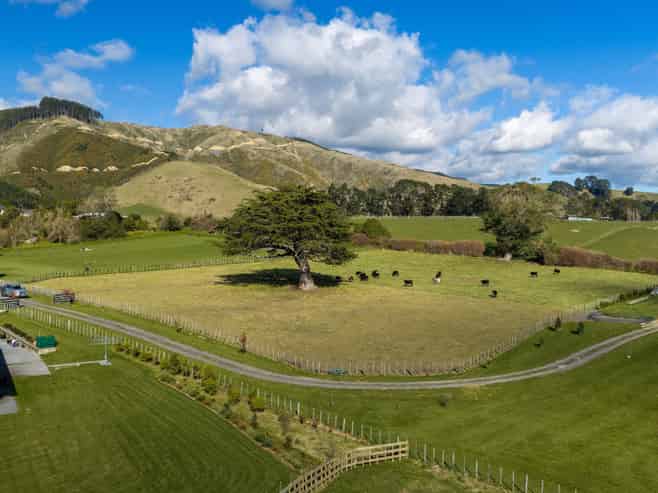 383 Wallace Road, Levin