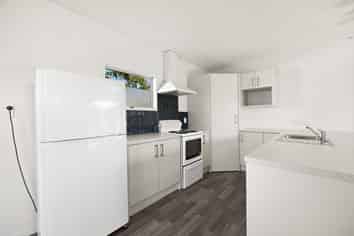 124B Nixon Street, Hamilton East