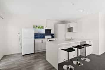 124B Nixon Street, Hamilton East