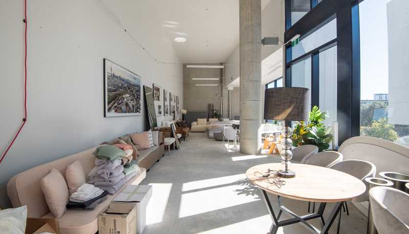 45  Randolph Street, Eden Terrace