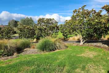 21 Omana Avenue, Shelly Beach