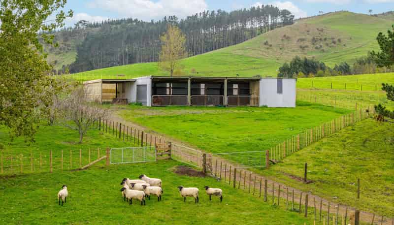 636 Kopuku Road, Maramarua