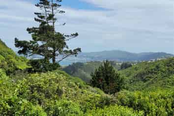 18 Miles Crescent, Newlands