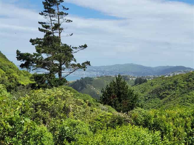 18 Miles Crescent, Newlands