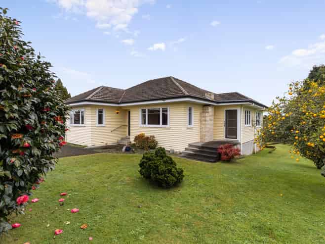 93 MacFarlane Street, Hamilton East