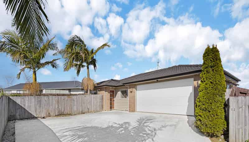 12 John Broad Place, Flat Bush