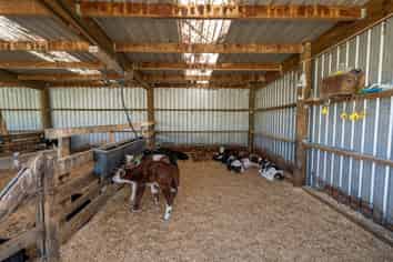 1026 Limeworks Loop Road, Te Pahu