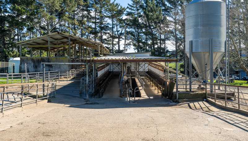 1026 Limeworks Loop Road, Te Pahu