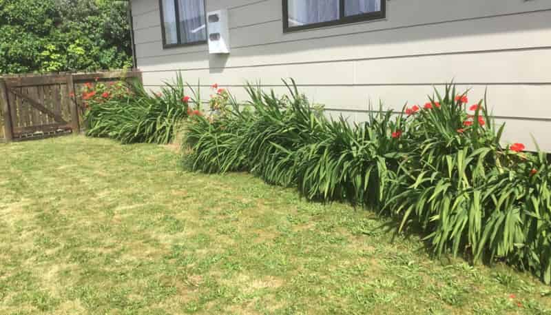 8 Nikau Place, Matamata