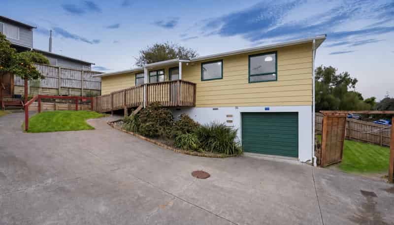 25A Levesque Street, Birkdale