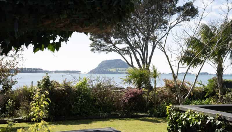 95 and 97 Beach Road, Otumoetai