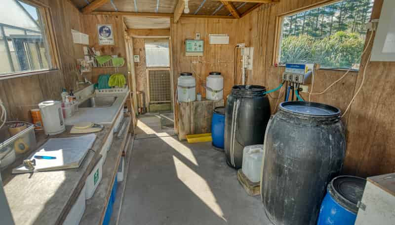 980 State Highway 6, Rapahoe
