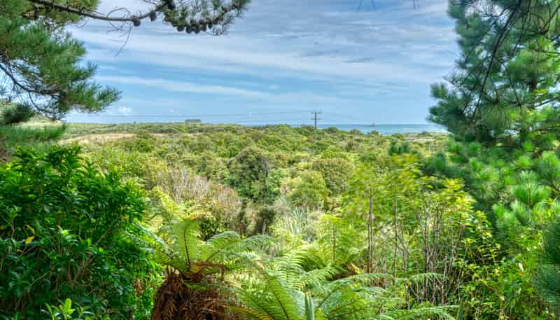 980 State Highway 6, Rapahoe