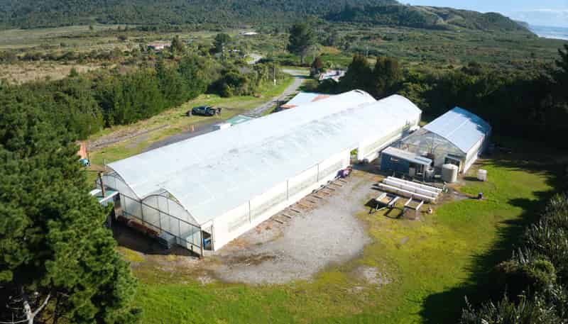 980 State Highway 6, Rapahoe