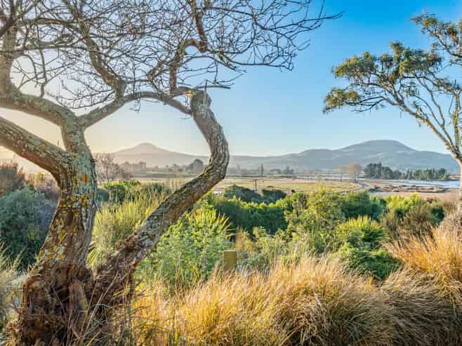 1440 Coast Road, Karitane