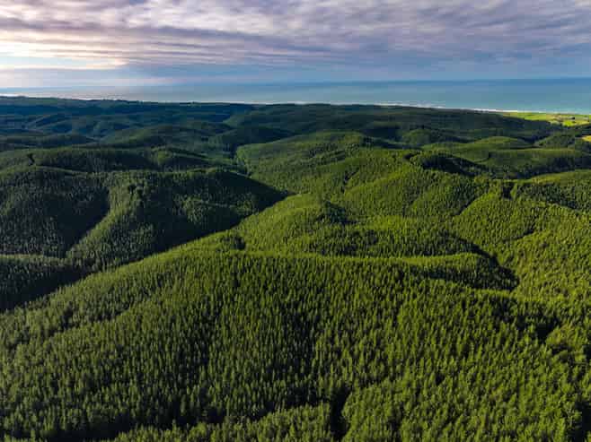  Taratu Road, Kaitangata