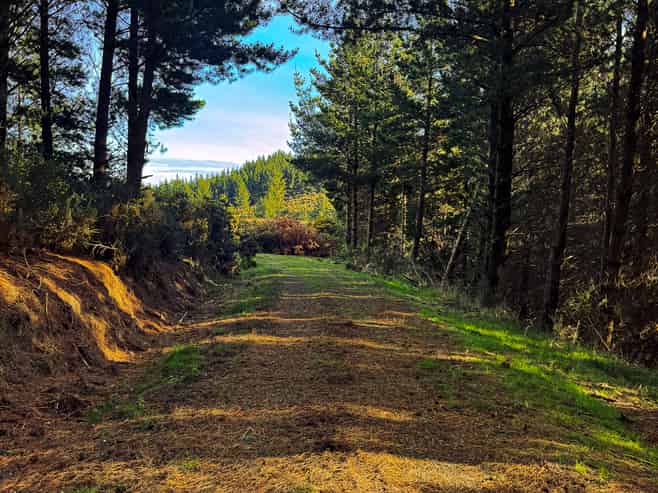  Taratu Road, Kaitangata
