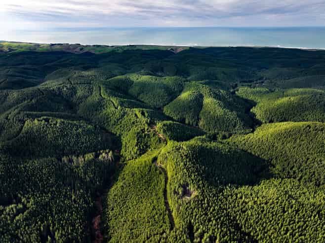  Taratu Road, Kaitangata