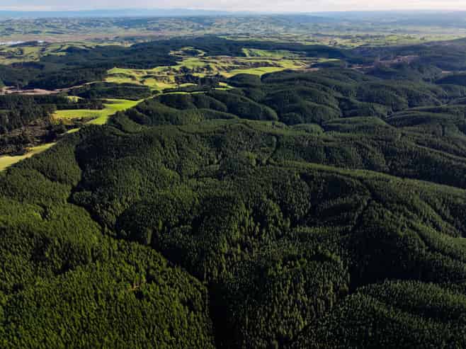  Taratu Road, Kaitangata