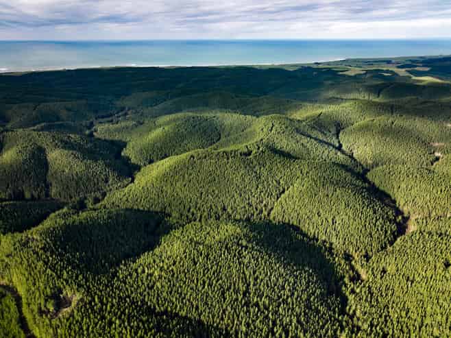  Taratu Road, Kaitangata