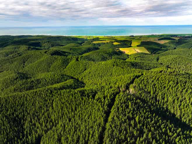  Taratu Road, Kaitangata