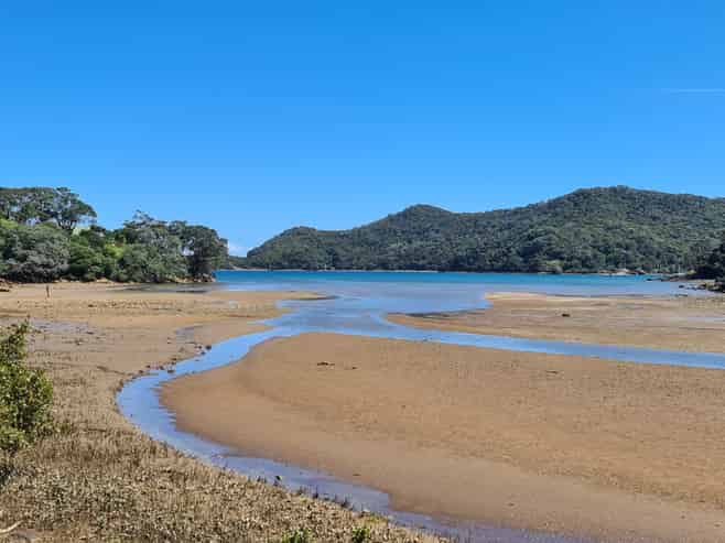7 Harpoon Hill, Great Barrier Island (Aotea Island)