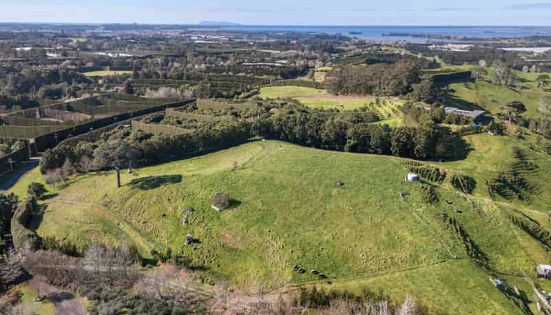 263 Hot Springs Road, Katikati