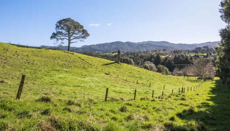 263 Hot Springs Road, Katikati