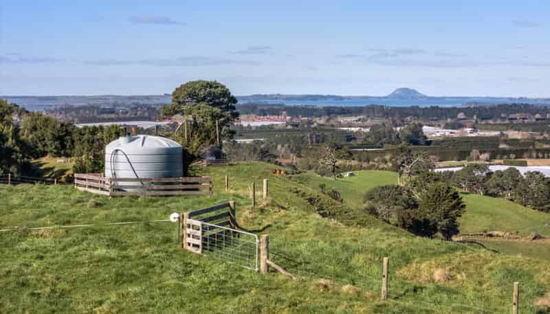 263 Hot Springs Road, Katikati