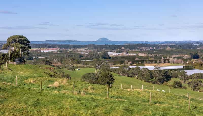 263 Hot Springs Road, Katikati