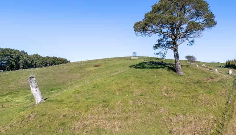263 Hot Springs Road, Katikati