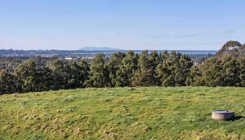 263 Hot Springs Road, Katikati