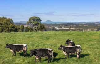 263 Hot Springs Road, Katikati
