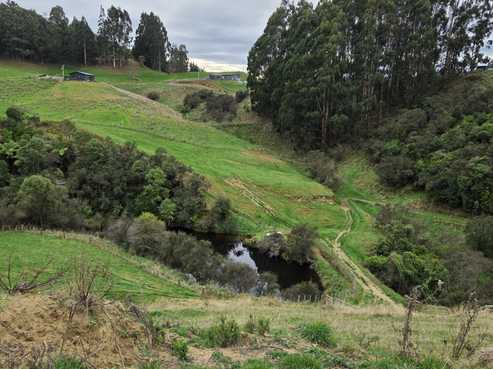 515 Zigzag Road, Ashhurst