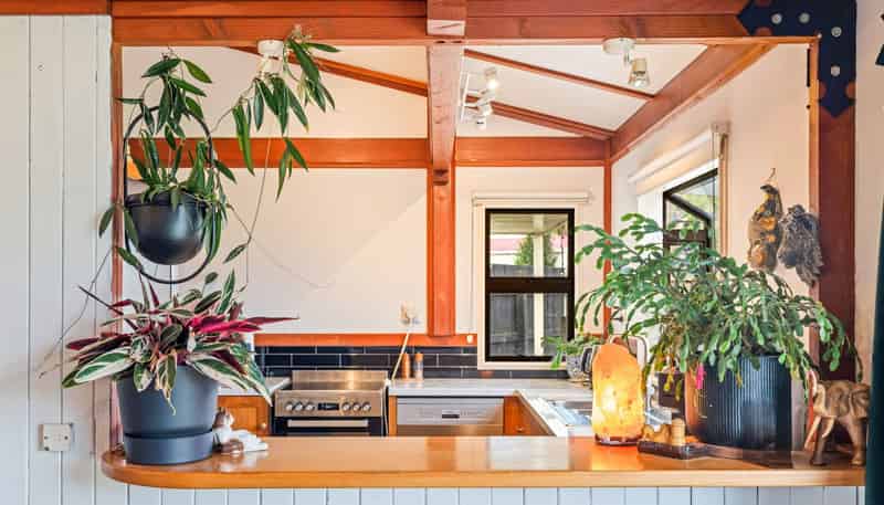 1 Vincent Drive, Levin