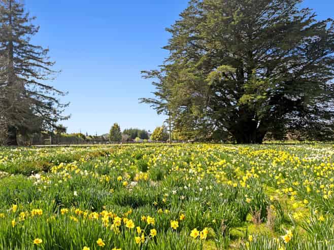 66 Central Road, Lower Moutere