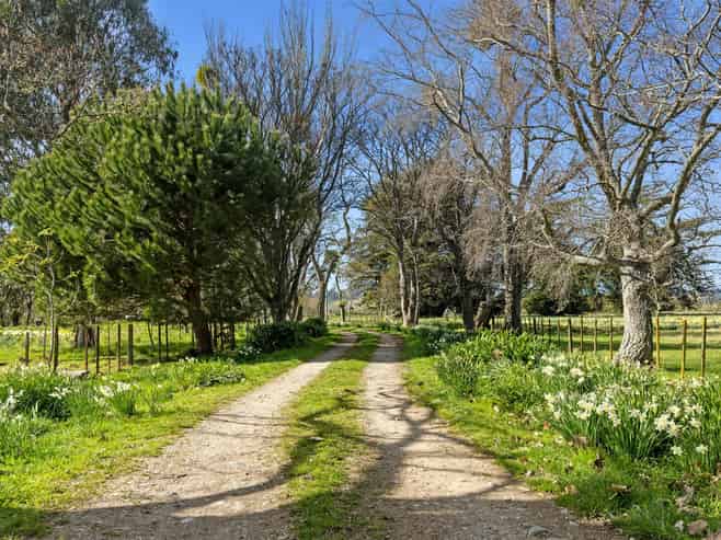 66 Central Road, Lower Moutere