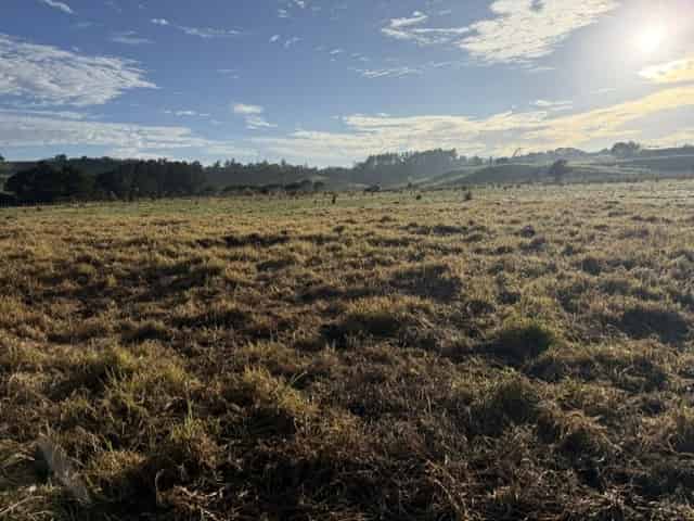 90 Station Road, Dargaville