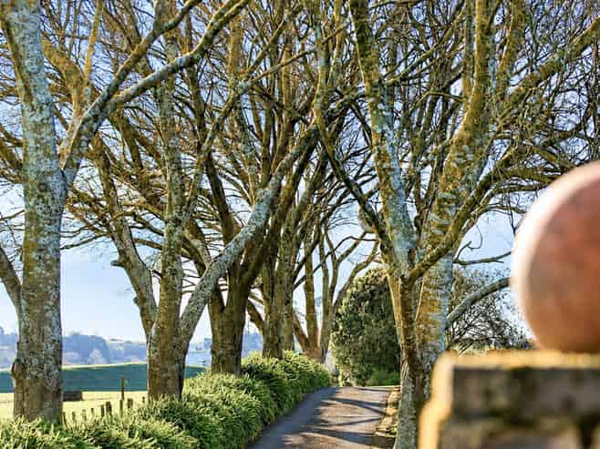 6 Glasson Road, Te Awamutu