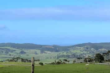 385 Kiwitahi Road, Helensville