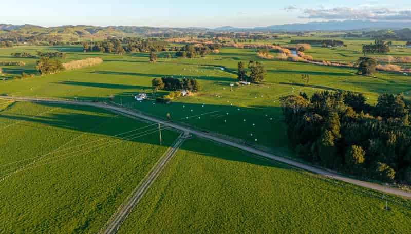 Lot 2 Bridge Road, Pahiatua
