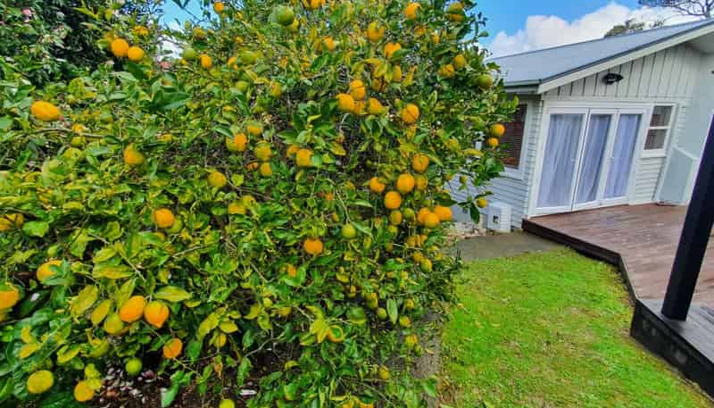 1/34 Valley View Rd, Glenfield