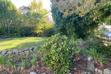 37 Kitchener Street, Lansdowne