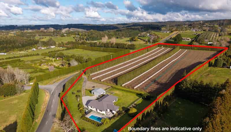 640 Esdaile Road, Whakamarama