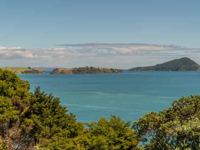 1410 Wyuna Bay Road, Coromandel