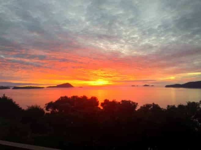 1410 Wyuna Bay Road, Coromandel