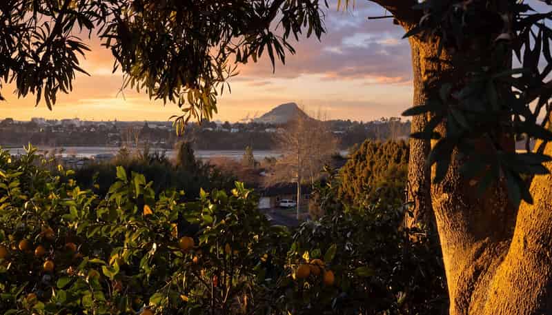 18 Vanderbilt Place, Welcome Bay